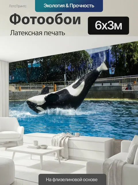 600 × 300 см · Латексная печать