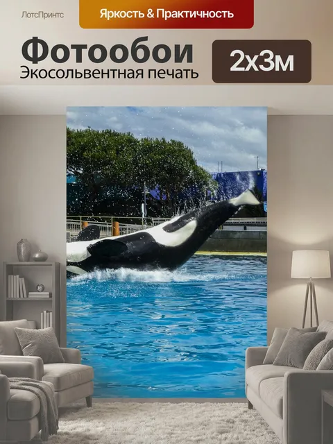 200 × 300 см · Экосольвентная печать