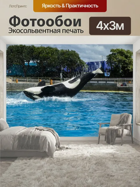 400 × 300 см · Экосольвентная печать