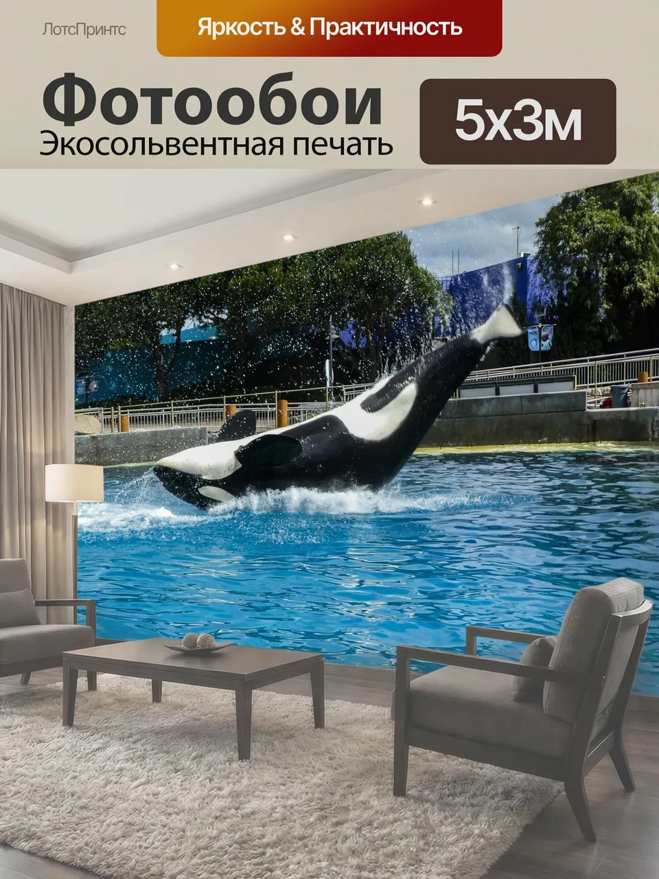Фотообои Касатка черно-белый ORCA-кит в Sea World