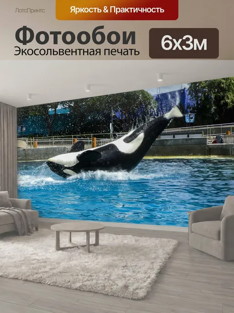 600 × 300 см · Экосольвентная печать