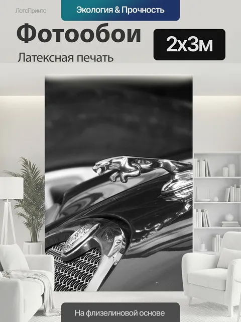 200 × 300 см · Латексная печать