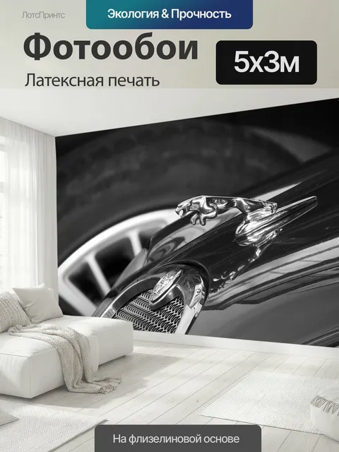 500 × 300 см · Латексная печать