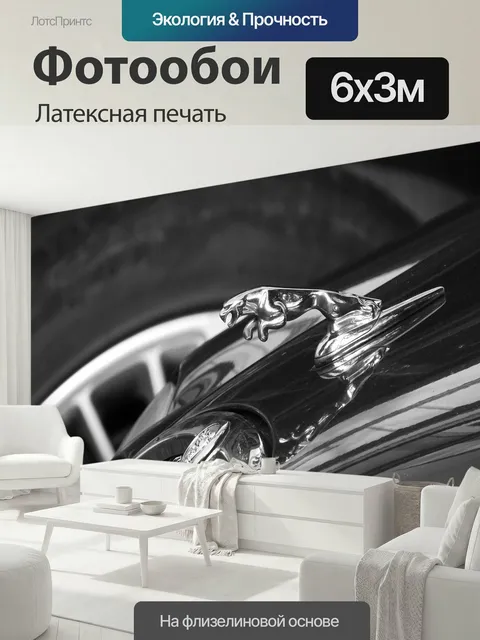 600 × 300 см · Латексная печать