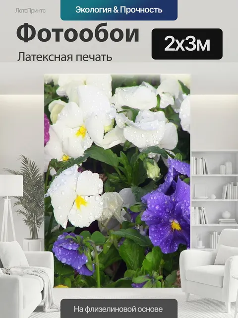 200 × 300 см · Латексная печать