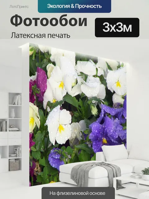 300 × 300 см · Латексная печать