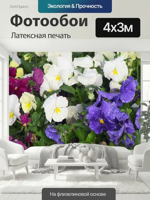400 × 300 см · Латексная печать