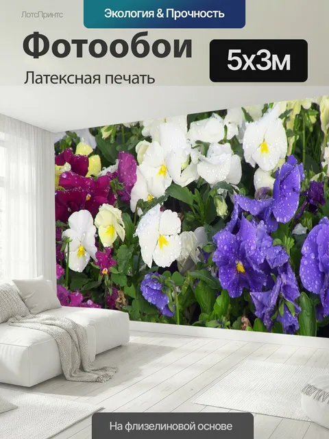 500 × 300 см · Латексная печать