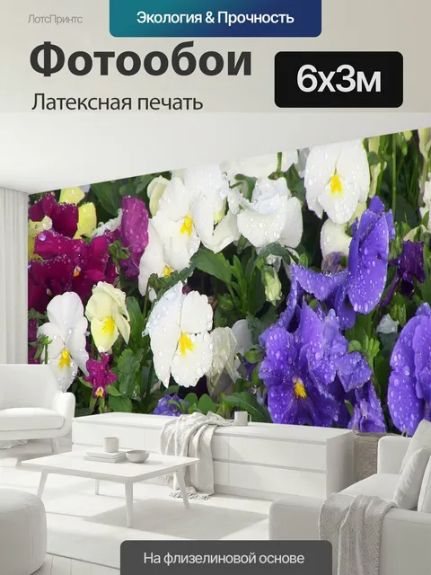 600 × 300 см · Латексная печать