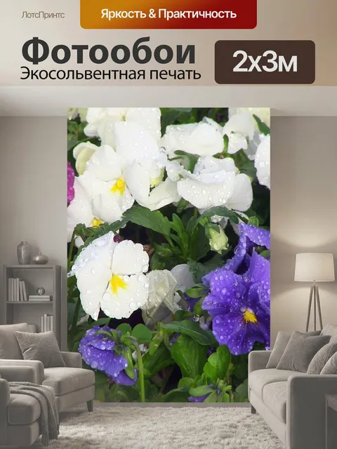 200 × 300 см · Экосольвентная печать