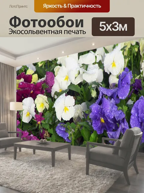 Фотообои Цветочные фон Красочные росы поцеловал анютины глазки в клумбе цветок цветы фон