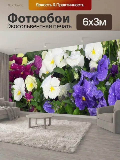 600 × 300 см · Экосольвентная печать