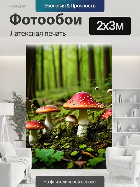 200 × 300 см · Латексная печать