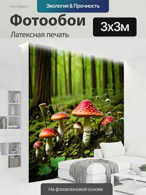 300 × 300 см · Латексная печать