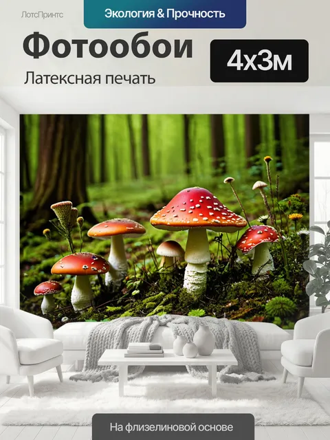 400 × 300 см · Латексная печать