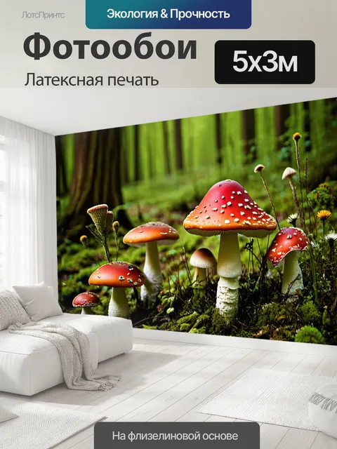 500 × 300 см · Латексная печать