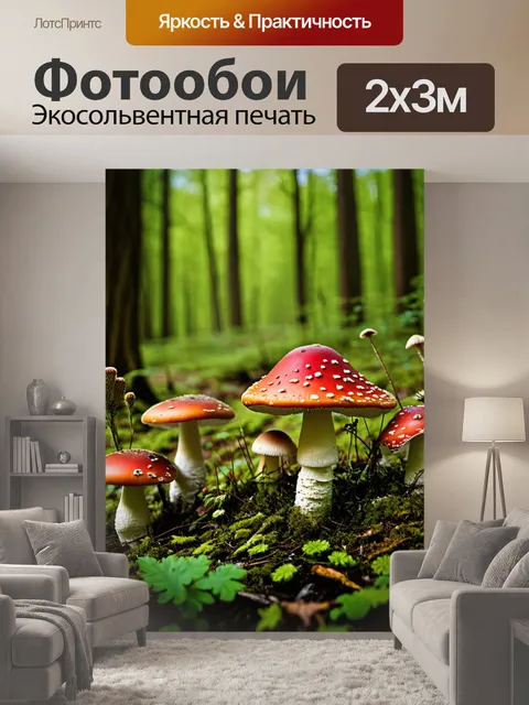 200 × 300 см · Экосольвентная печать