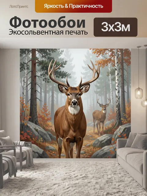 Фотообои Олени в осеннем лесу. Благородный самец с крупными рогами и молодой сохатый на тропе среди сосен и берез. Тум…