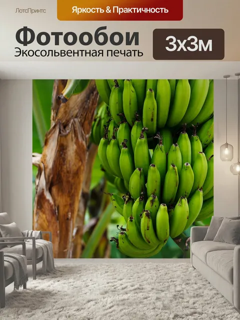 Фотообои Еда, фрукты, свежий