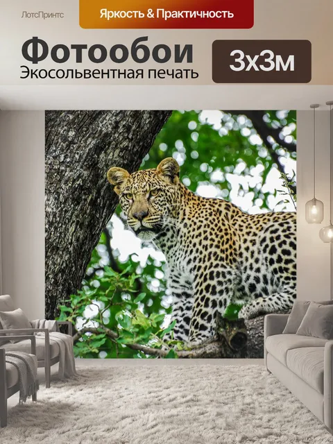 Фотообои Леопард, большие кошки, кошка