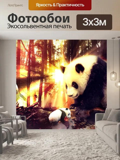 Фотообои Солнце, панда, лес