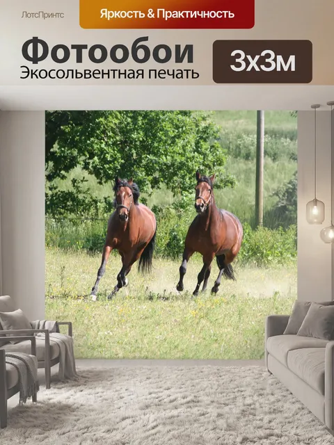Фотообои Лошади, бегущие лошади, галопом