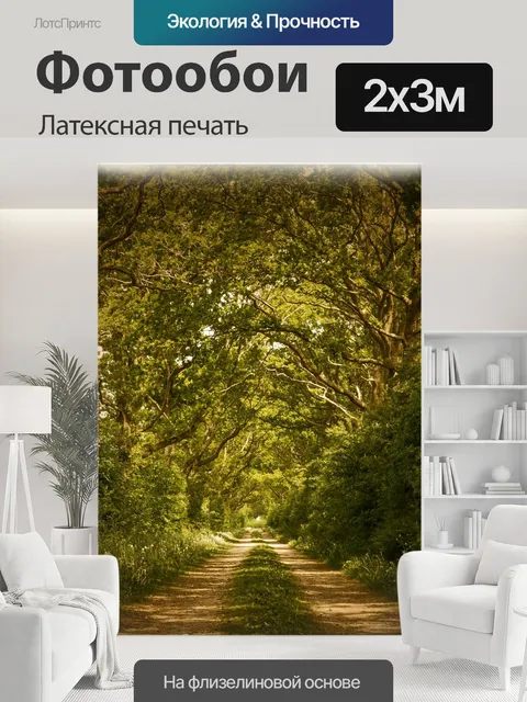 200 × 300 см · Латексная печать