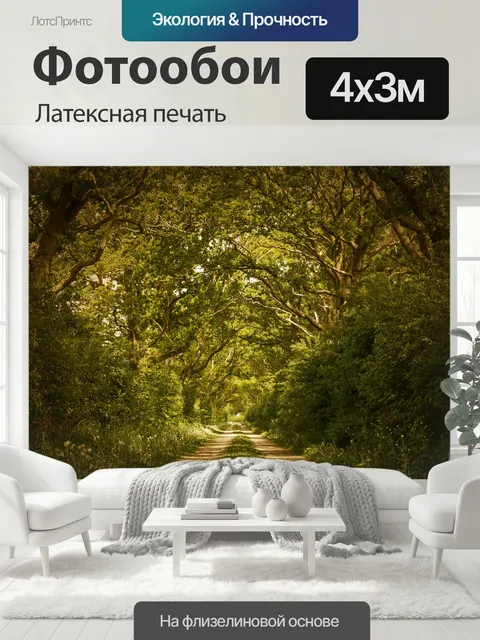 400 × 300 см · Латексная печать