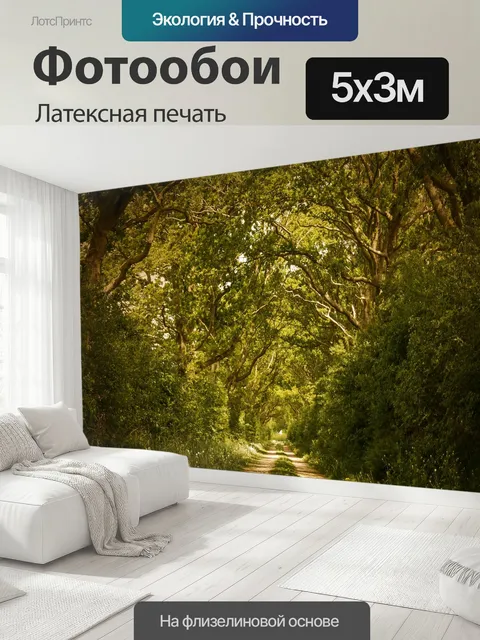 500 × 300 см · Латексная печать