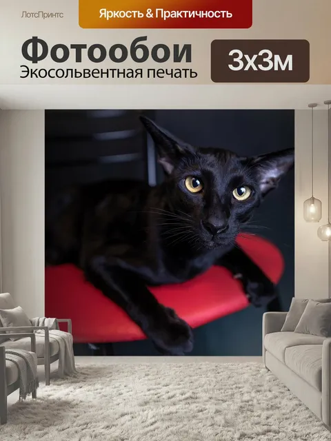 Фотообои Кошка, чёрная, ориентал