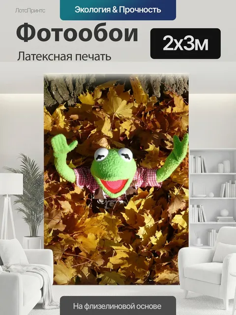 200 × 300 см · Латексная печать