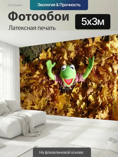 500 × 300 см · Латексная печать