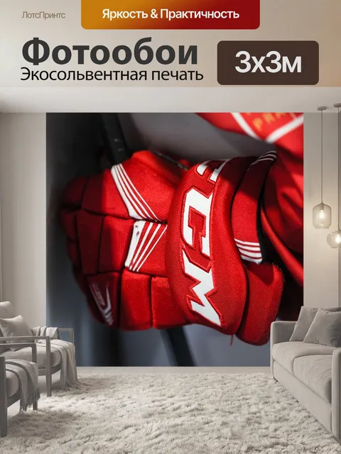 Фотообои Хоккей, славия, конькобежец