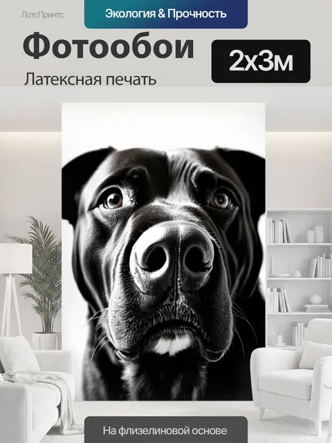 200 × 300 см · Латексная печать