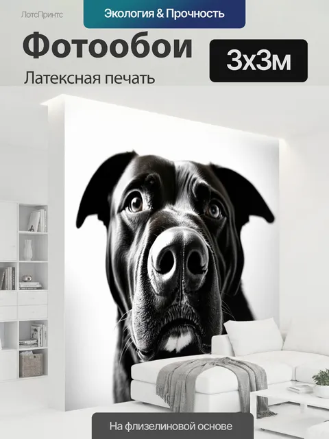 300 × 300 см · Латексная печать