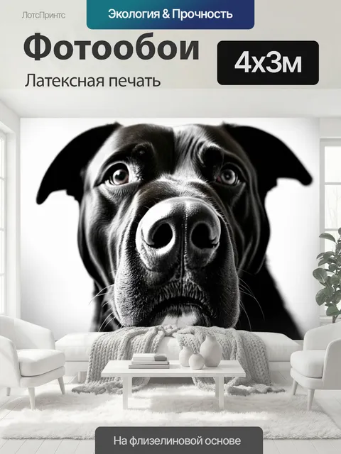 400 × 300 см · Латексная печать