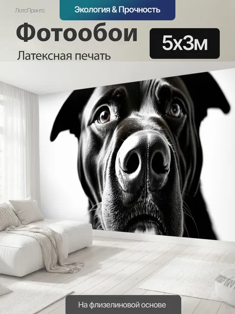 500 × 300 см · Латексная печать