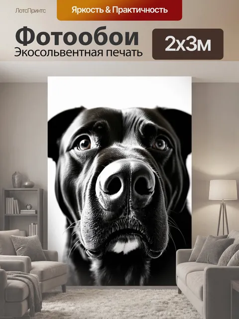 200 × 300 см · Экосольвентная печать