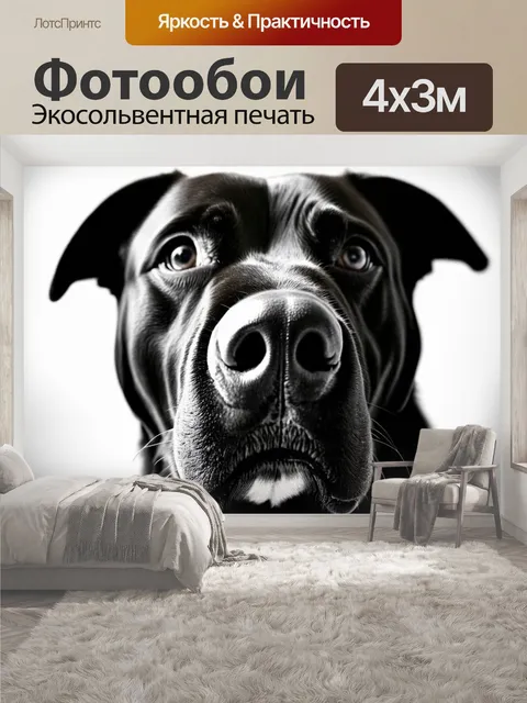 400 × 300 см · Экосольвентная печать