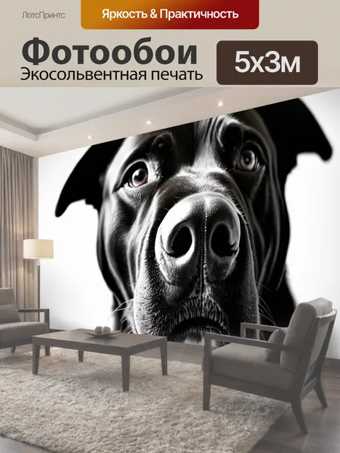500 × 300 см · Экосольвентная печать