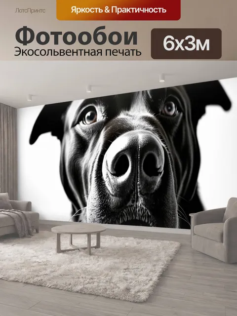 600 × 300 см · Экосольвентная печать