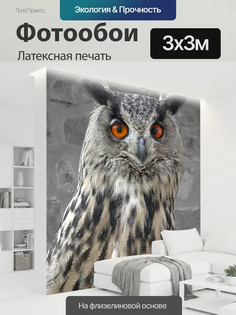 300 × 300 см · Латексная печать