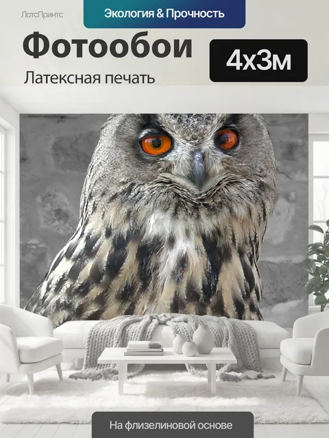 400 × 300 см · Латексная печать