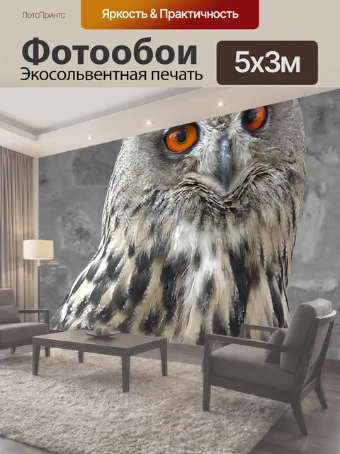 500 × 300 см · Экосольвентная печать