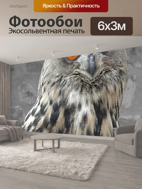 600 × 300 см · Экосольвентная печать