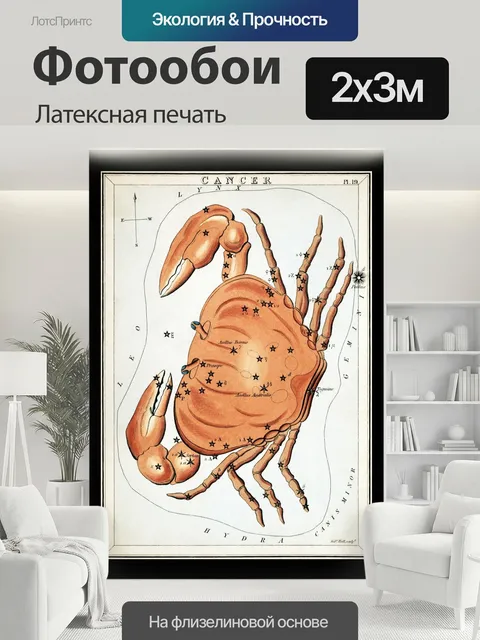 200 × 300 см · Латексная печать