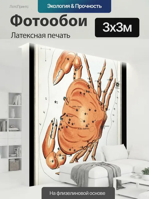 300 × 300 см · Латексная печать