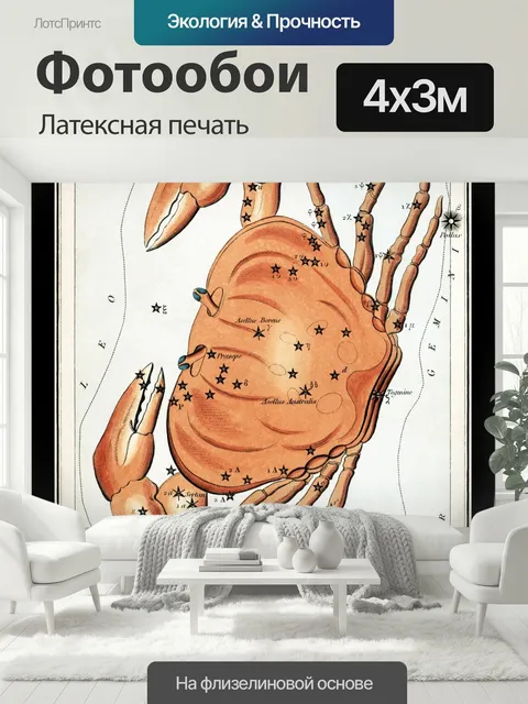 400 × 300 см · Латексная печать