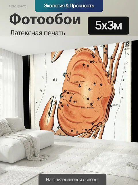 500 × 300 см · Латексная печать