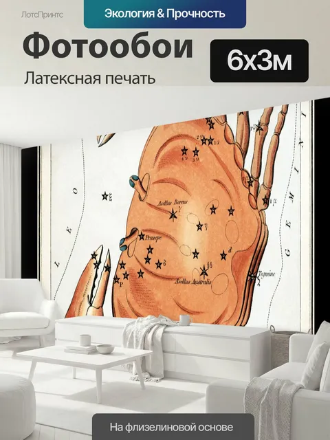 600 × 300 см · Латексная печать